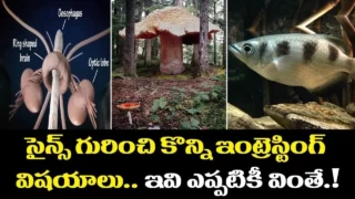 సైన్స్ గురించి తెలుసుకోవలసిన ఆసక్తికరమైన విషయాలు 10 Unbelievable Facts in the WorldShri Tv Believe